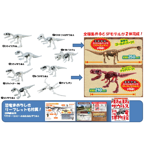 食玩王国オフィシャルウェブサイト ほねほねザウルスｘ福井県立恐竜 